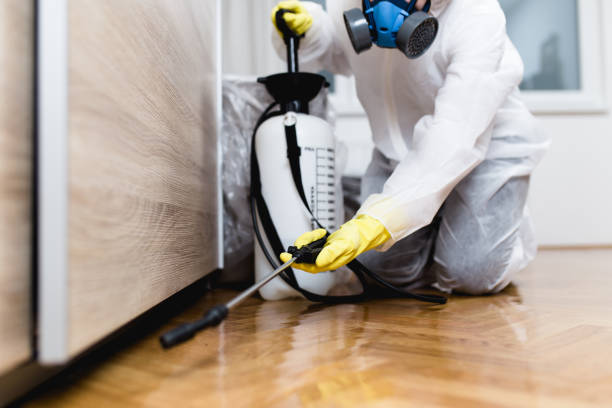 Professional Pest Control in Chester Center, CT