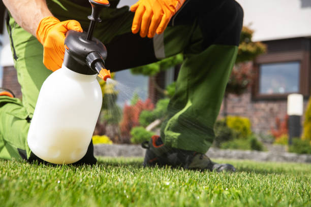 Best Termite Control Services  in Chester Center, CT