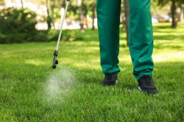 Best Insect Control  in Chester Center, CT