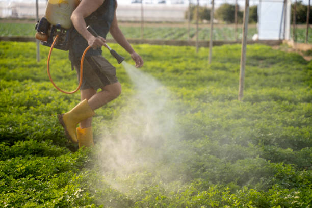 Best Pest Prevention Services  in Chester Center, CT