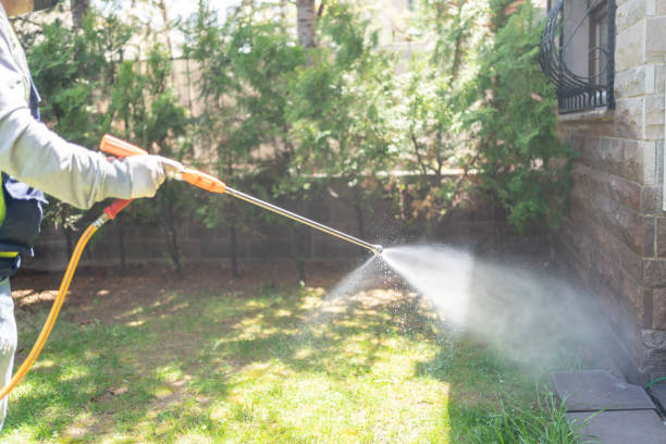 Best Best Pest Control Companies  in Chester Center, CT